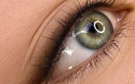 WhatsApp Image 2025-10-06 at 17.55.40