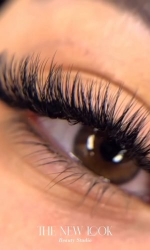 WhatsApp Image 2025-10-06 at 17.59.59